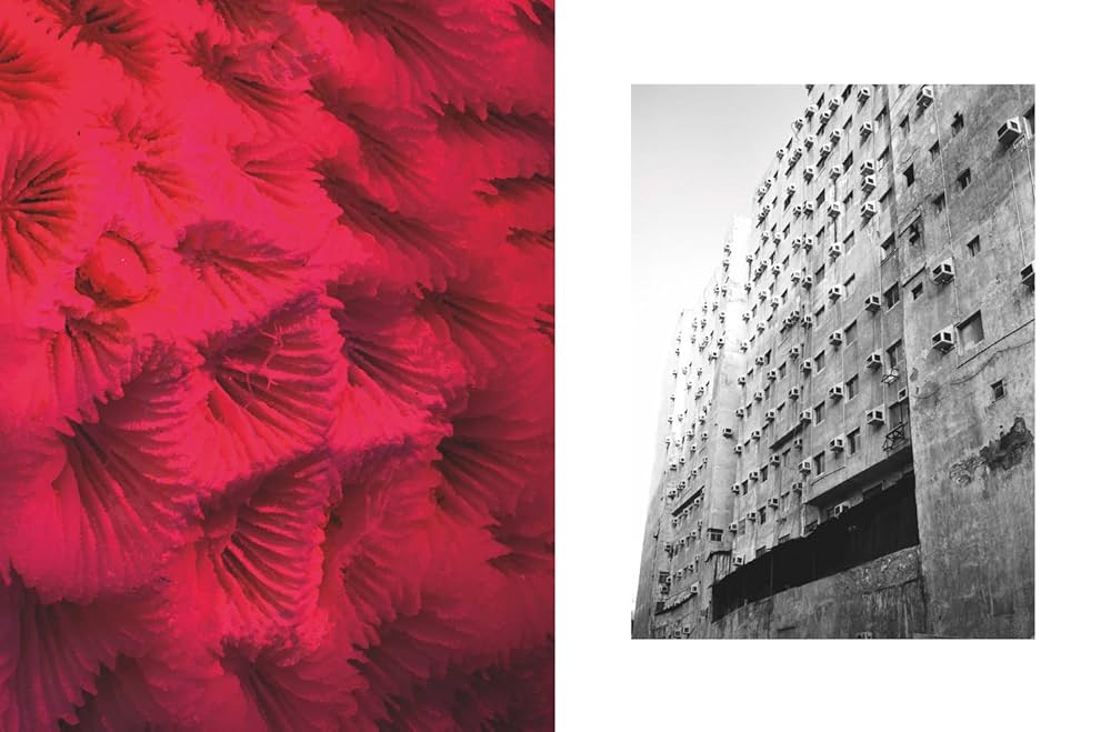 Amazon | Taiyo Onorato & Nico Krebs: Water Column | Onorato
